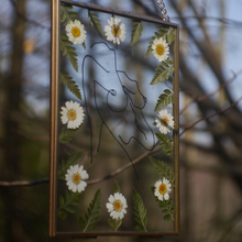 Load image into Gallery viewer, 'Electric Energy'  Hand-drawn Pressed Flower Frame
