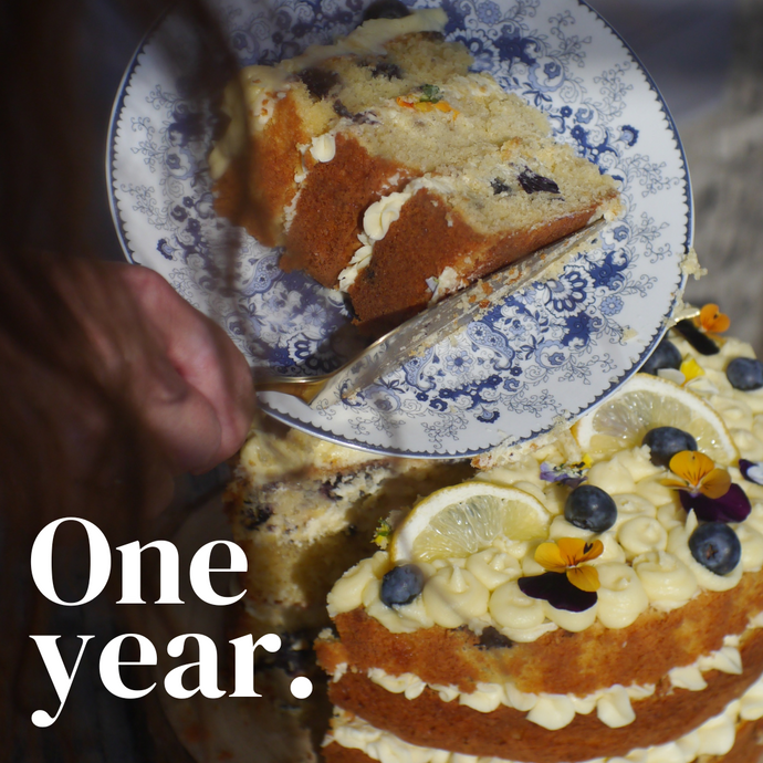 Celebrating One Year of Earth Tone: A Journey in Preserving Nature's Beauty