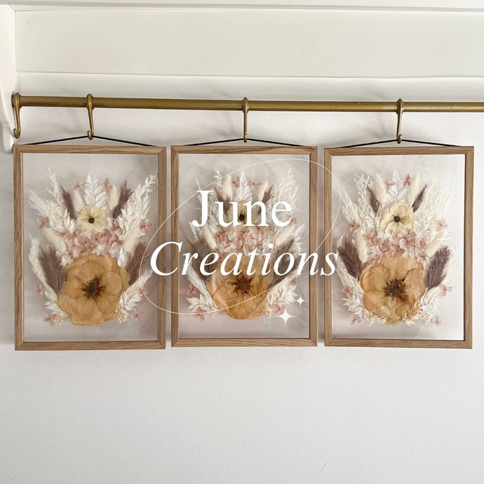 June's Frames Are Here, A Little Pause for Beauty