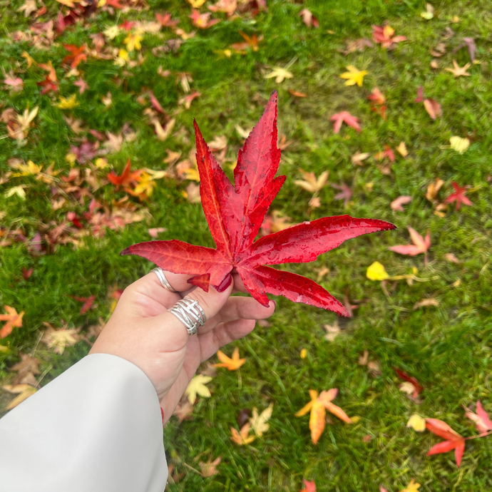 Embracing Autumn's Artistry: A Season of Creativity and Connection