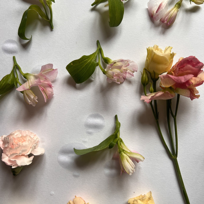 The Art of Pressing Flowers
