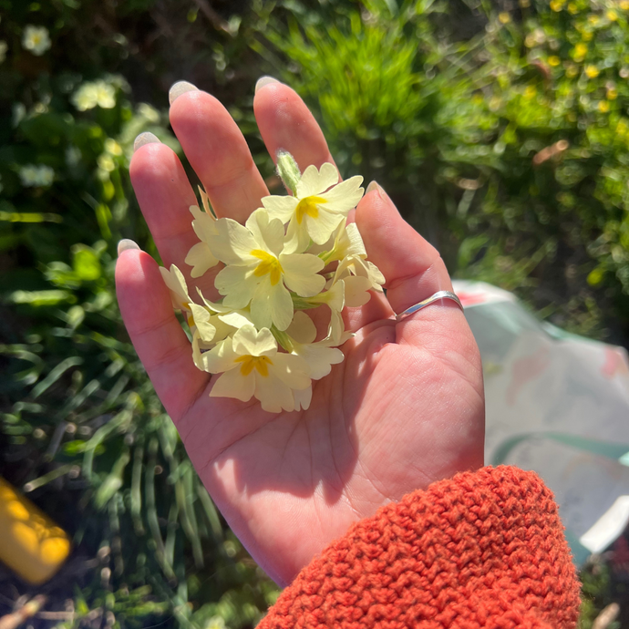One thing you wish more people understood about the art of pressing flowers