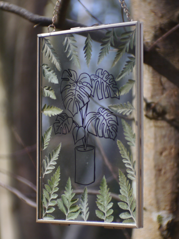 'Monstera'  Hand-drawn Pressed Flower Frame