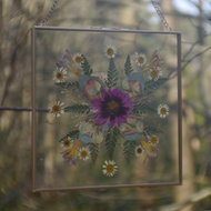 Dahlia Mandala Pressed Flower Frame