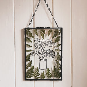 Handcrafted pressed flower frame featuring hand drawn Monstera Leaf. With fern leaves circling the drawing in a black glass frame, perfect for home decor